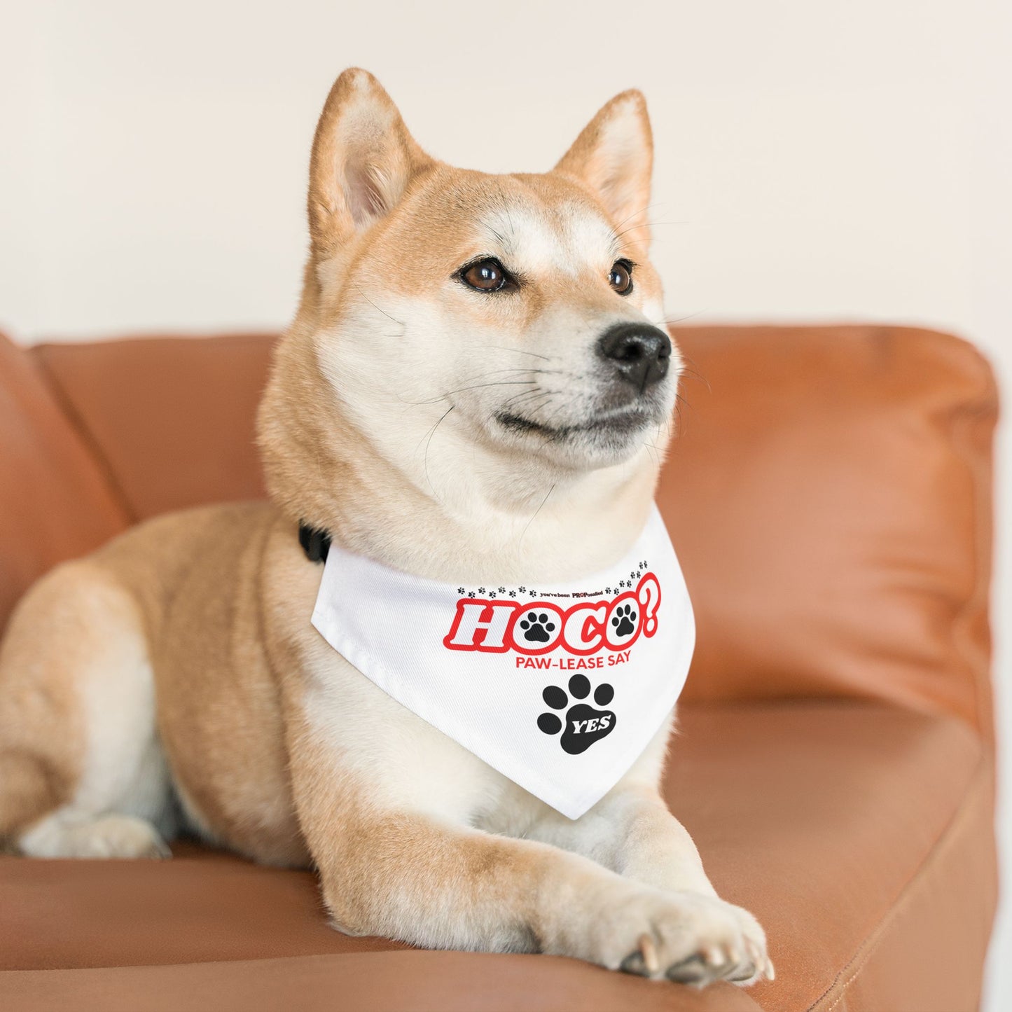 PROPosalled Pet Bandana Collar Homecoming Proposal Prop