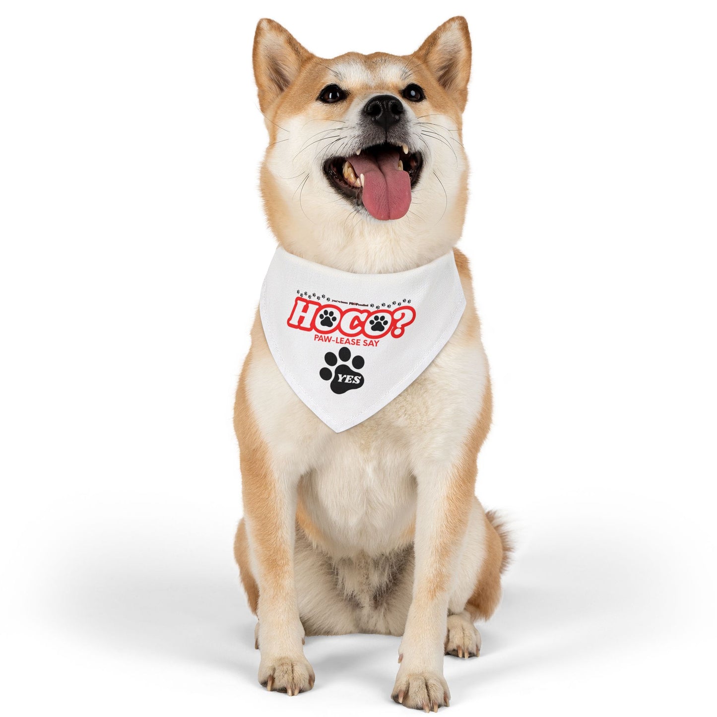 PROPosalled Pet Bandana Collar Homecoming Proposal Prop