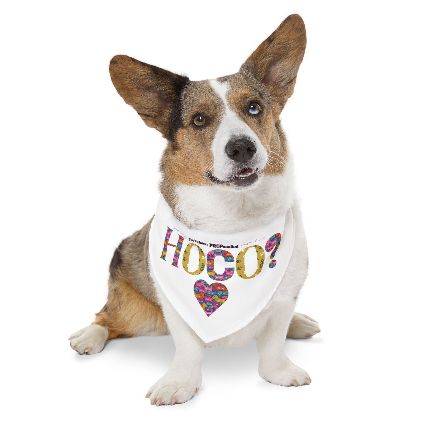 PROPosalled Pet Bandana Collar HOCO Proposal Prop