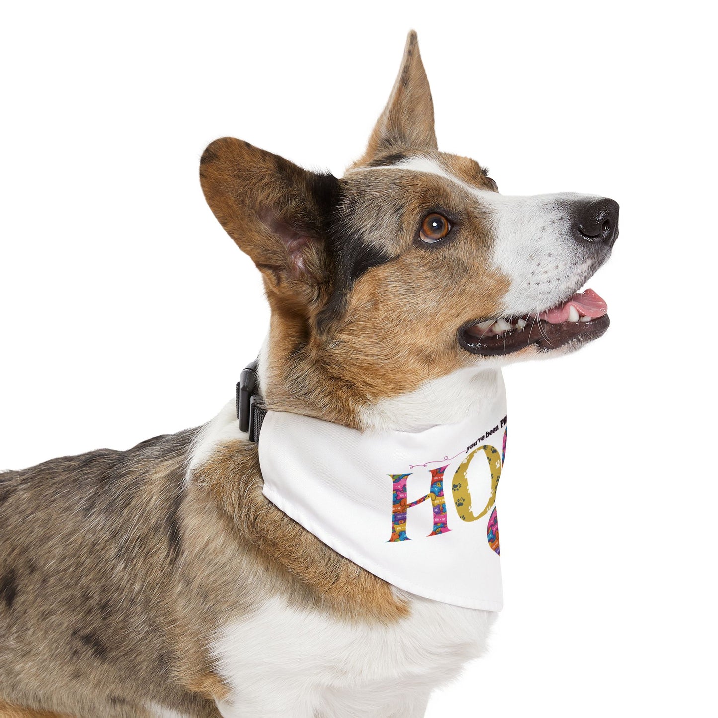 PROPosalled Pet Bandana Collar HOCO Proposal Prop
