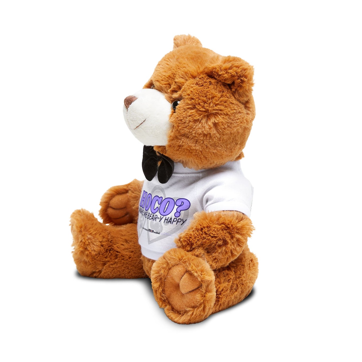 PROPosalled Teddy Bear Homecoming Proposal Prop